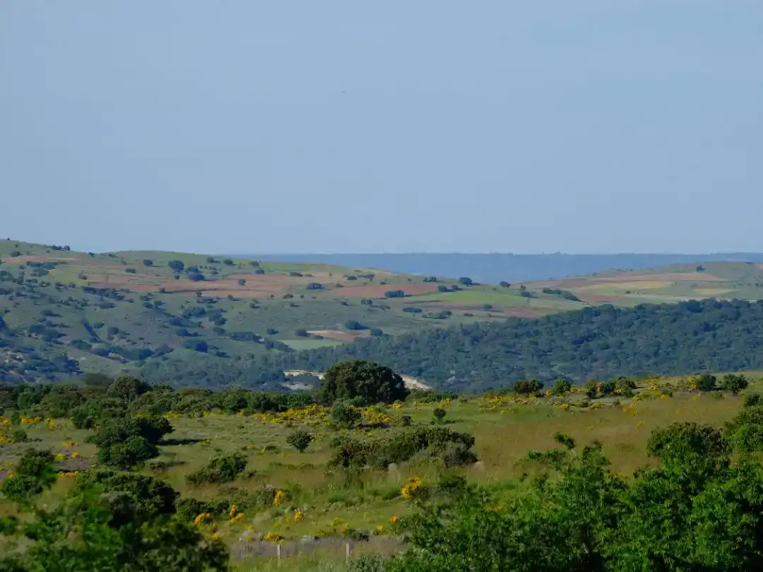 Piso de 77 m² en Marlín
