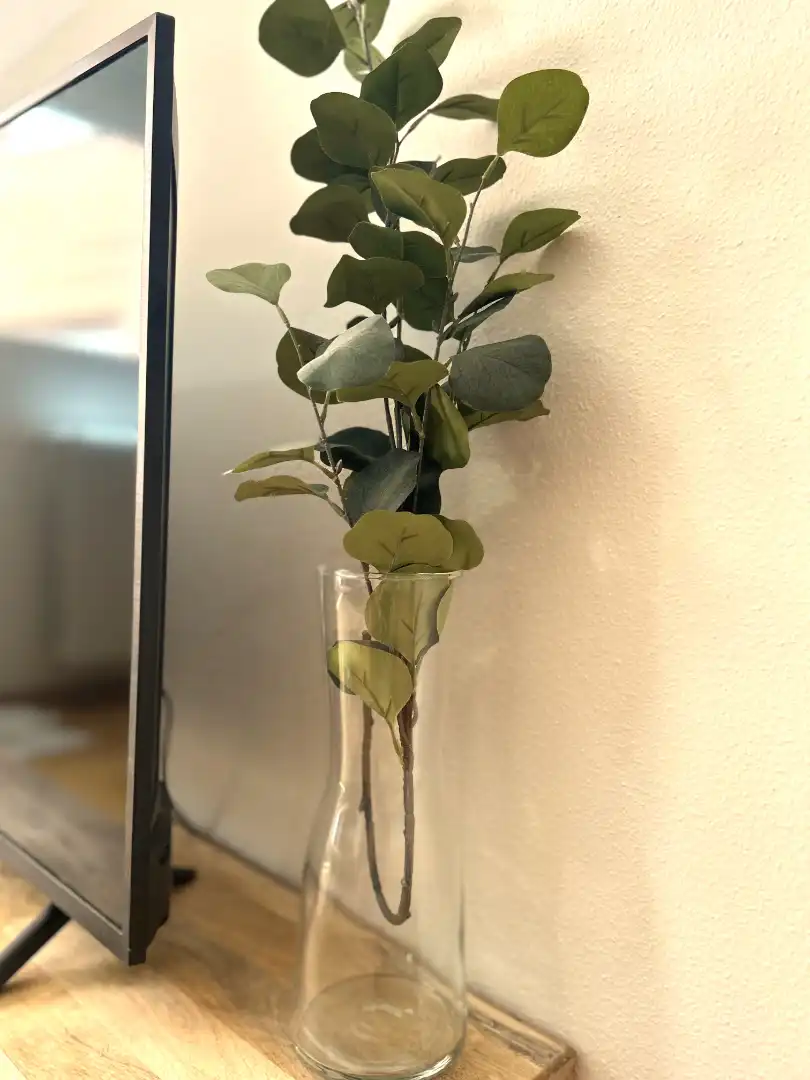 Appartement 60 m² à Saragosse