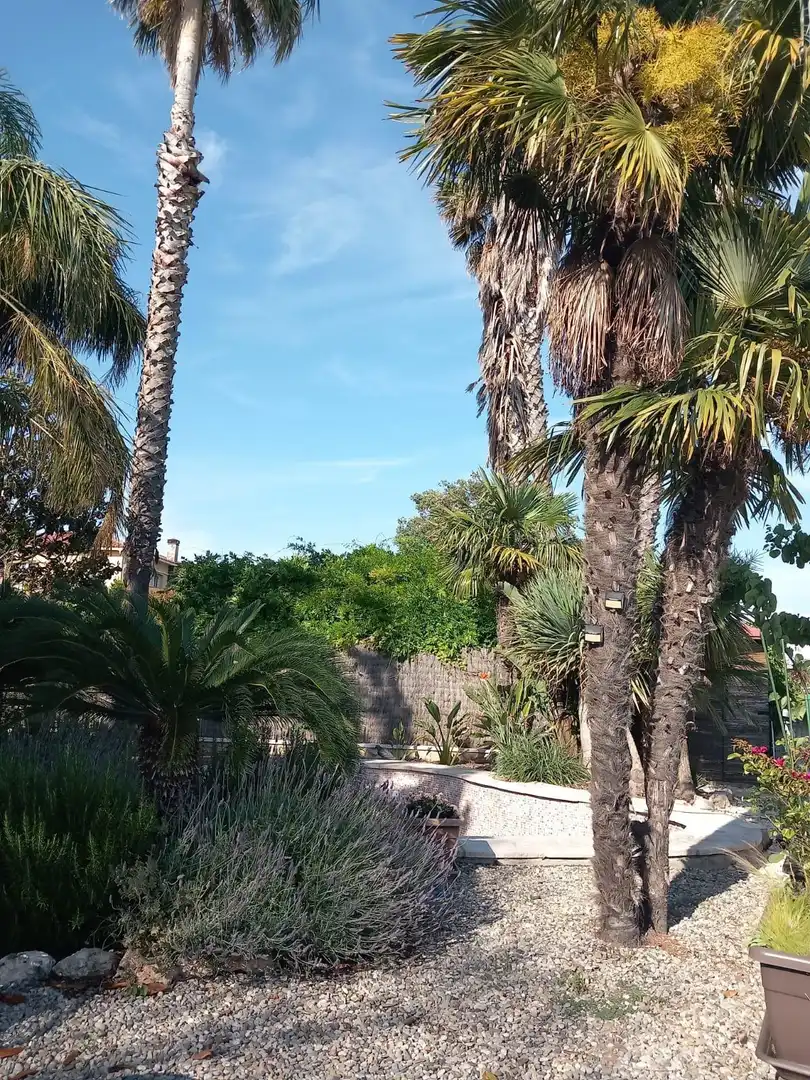 Casa de 354 m² en Pacs del Penedès