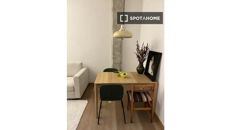 Habitación 46 m², Bilbao