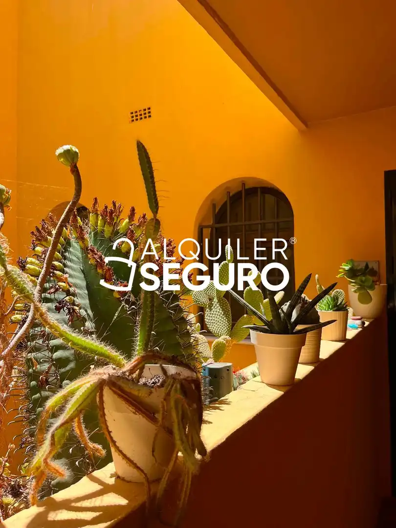 Piso de 75 m² en El Ejido