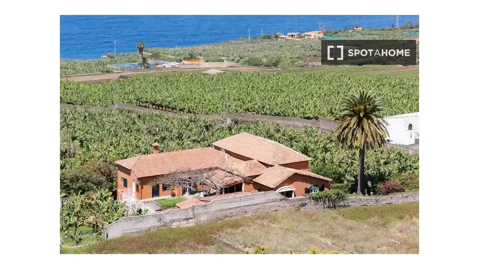 Habitación en alquiler, Puerto de la Cruz