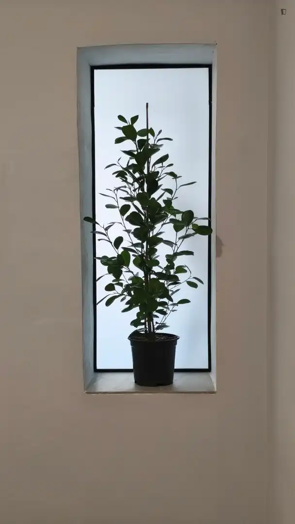 Wohnung 85 m² in Granada