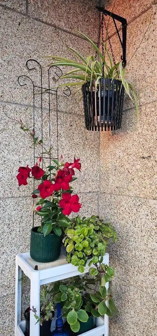 Piso de 43 m² en Sanxenxo