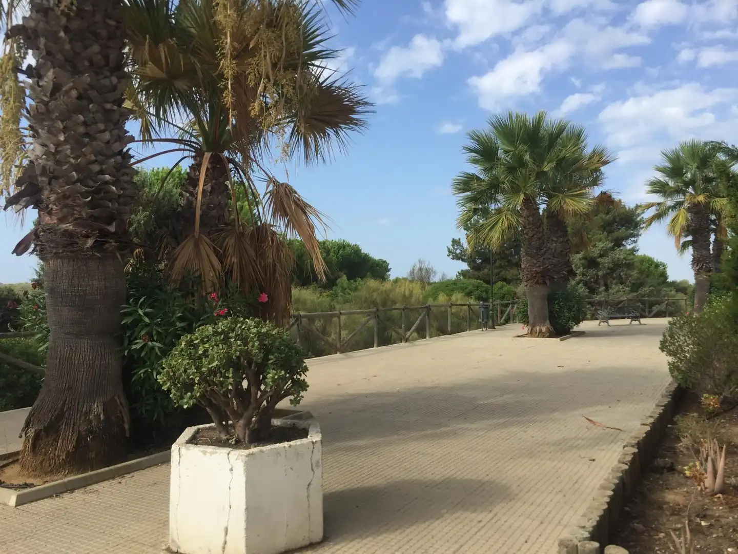 Casa de 90 m² en Cartaya