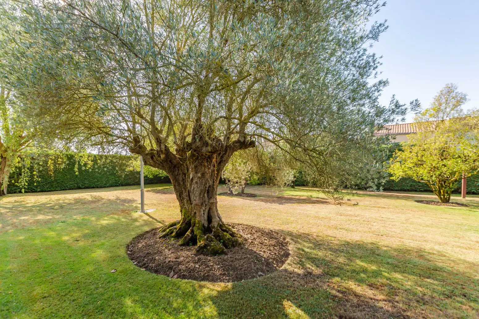 Pis de 338 m² a Valle de Egüés / Eguesibar