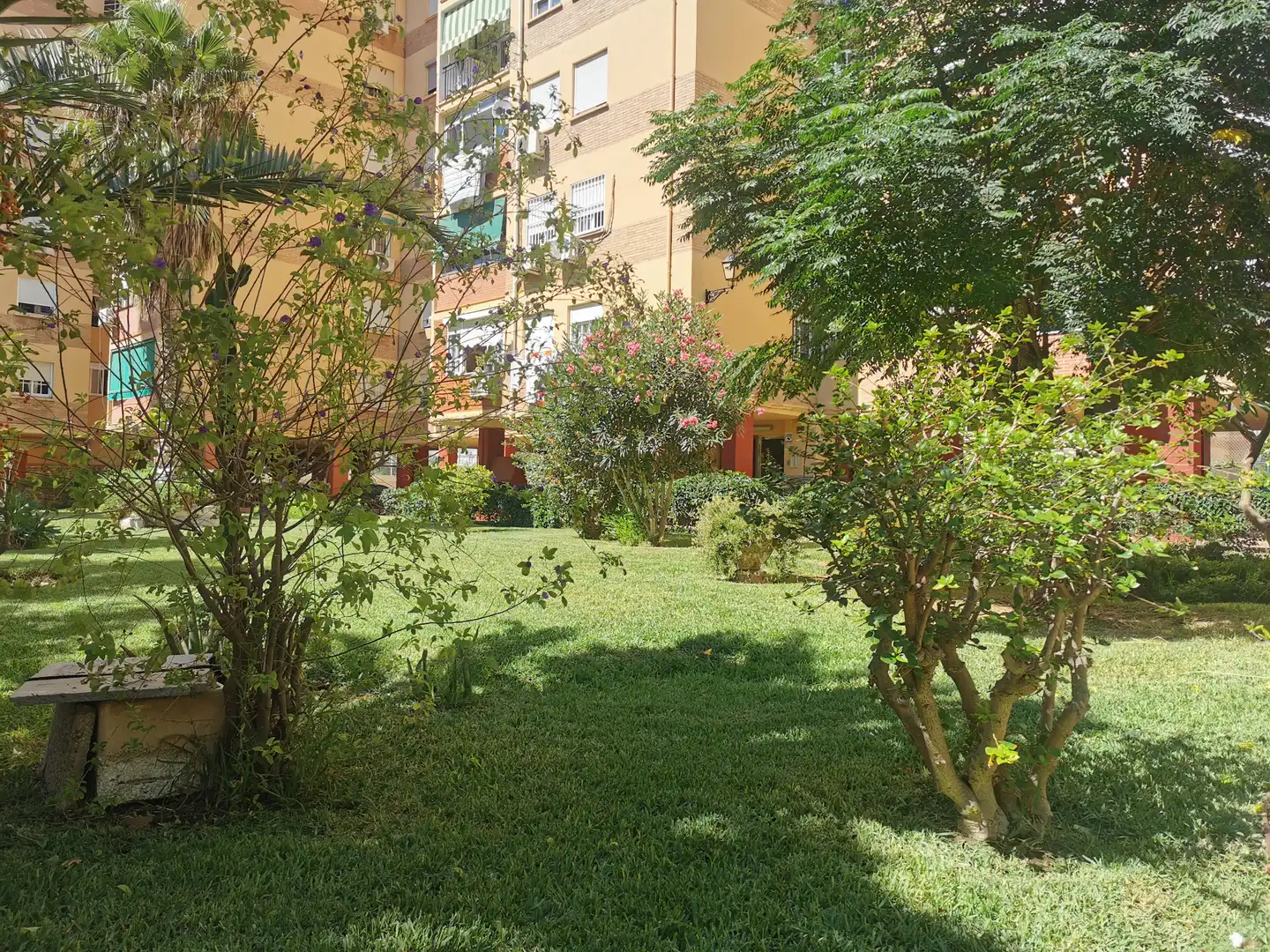 Chambre à louer, Málaga