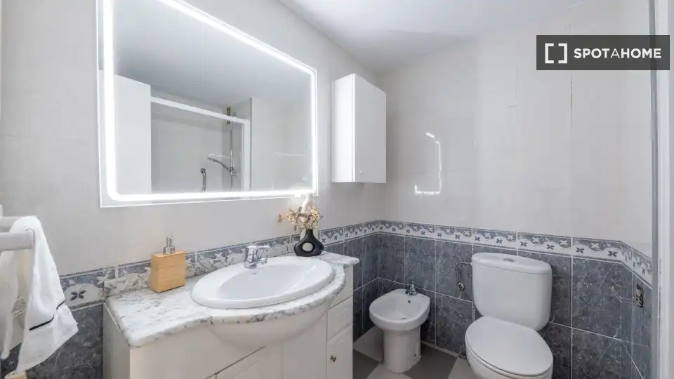 Zimmer zur Miete, Madrid