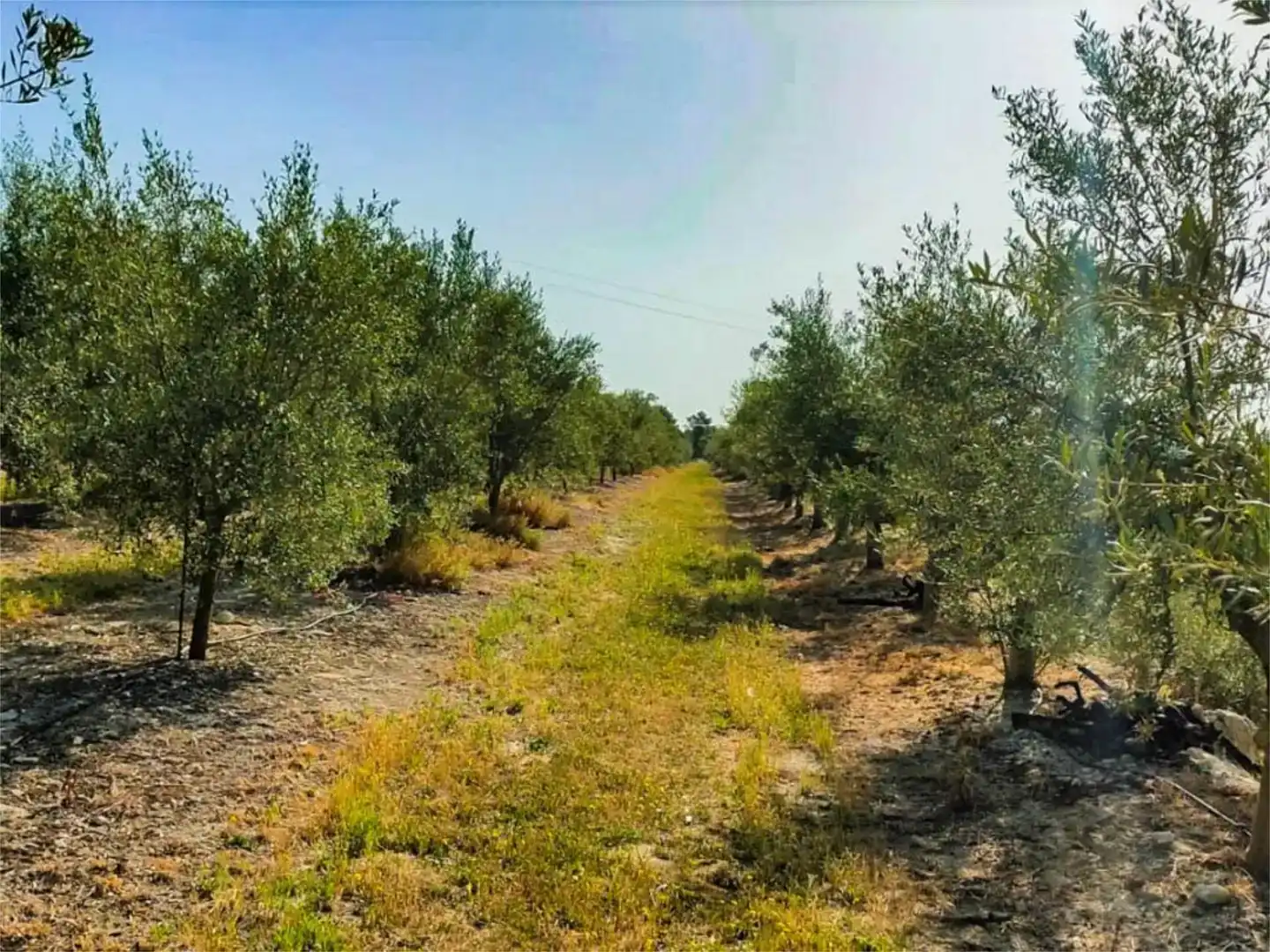 Piso de 560 m² en Alcoy