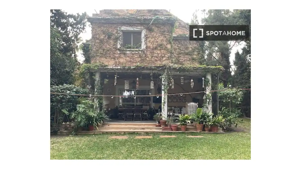 Habitació de lloguer, Alacant