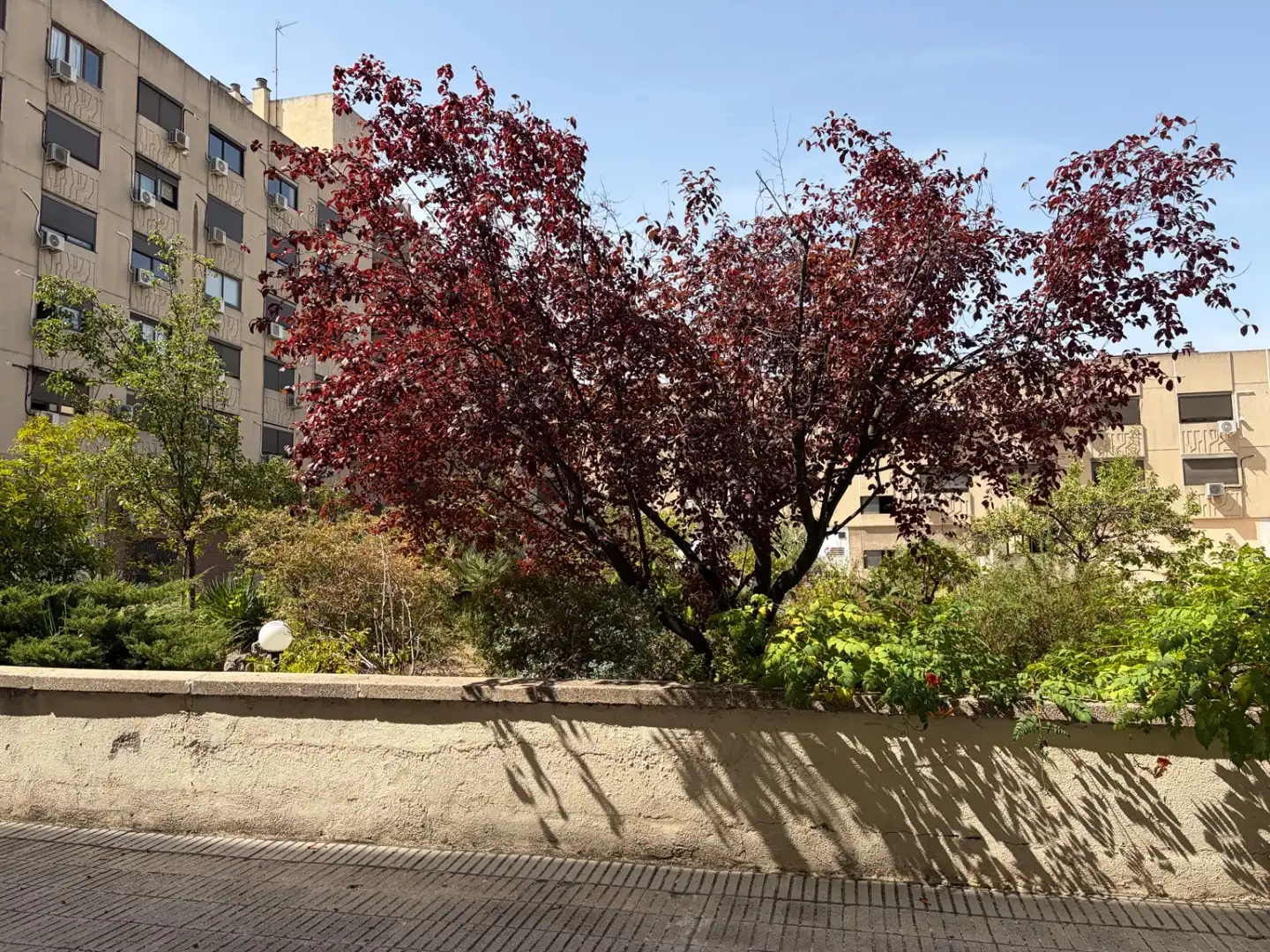 Pis de 27 m² a Madrid