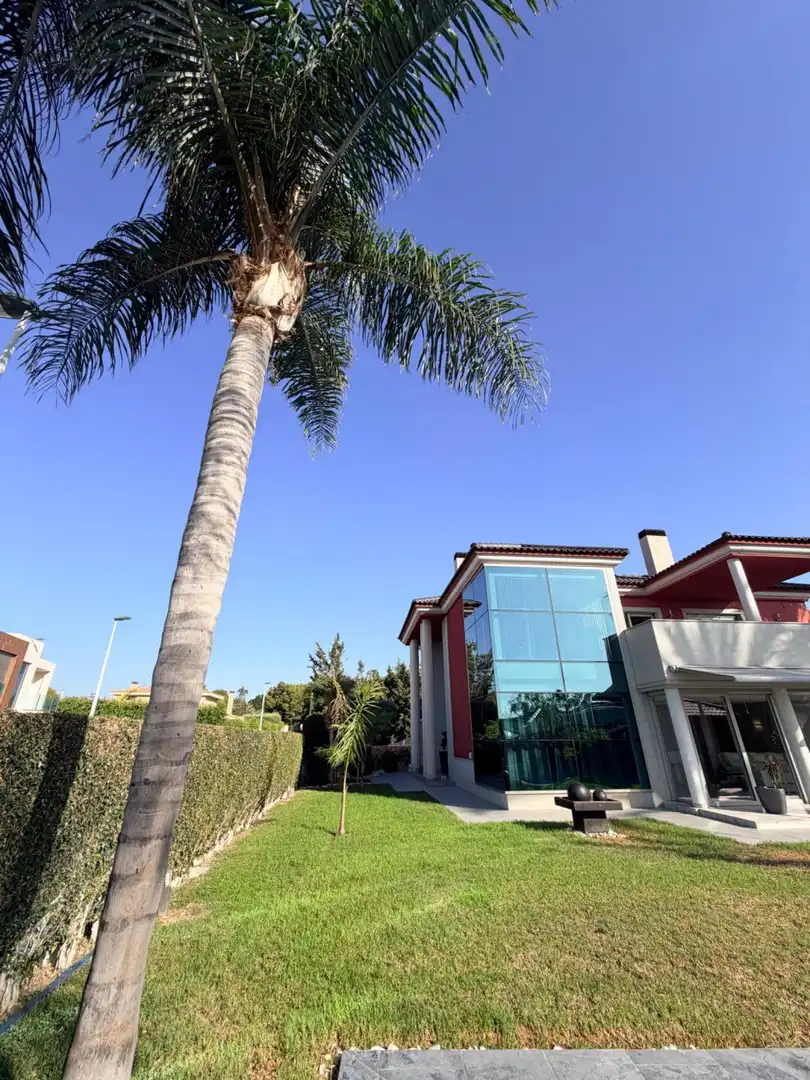 Piso de 600 m² en Elche