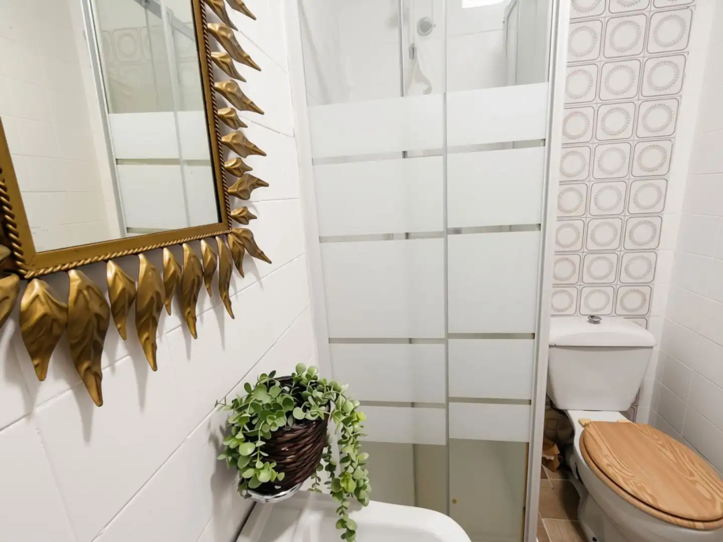 Habitació de lloguer, Guadalajara