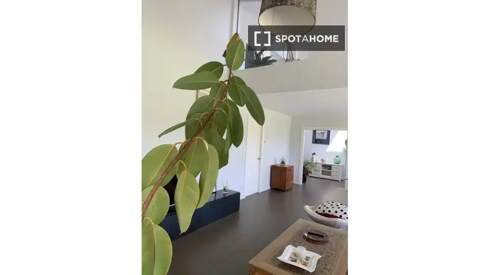 Habitación 518 m², Vega de Liébana