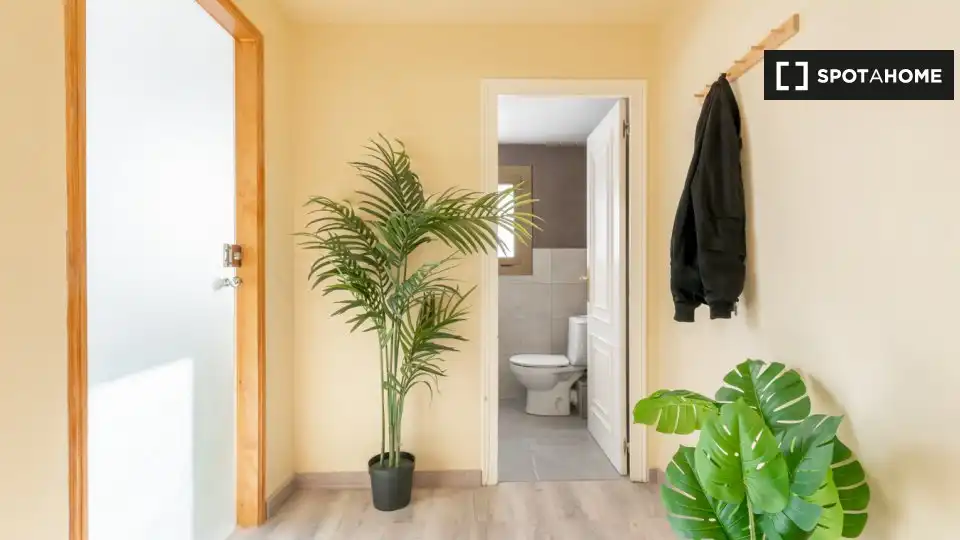 Habitació de lloguer, Barcelona