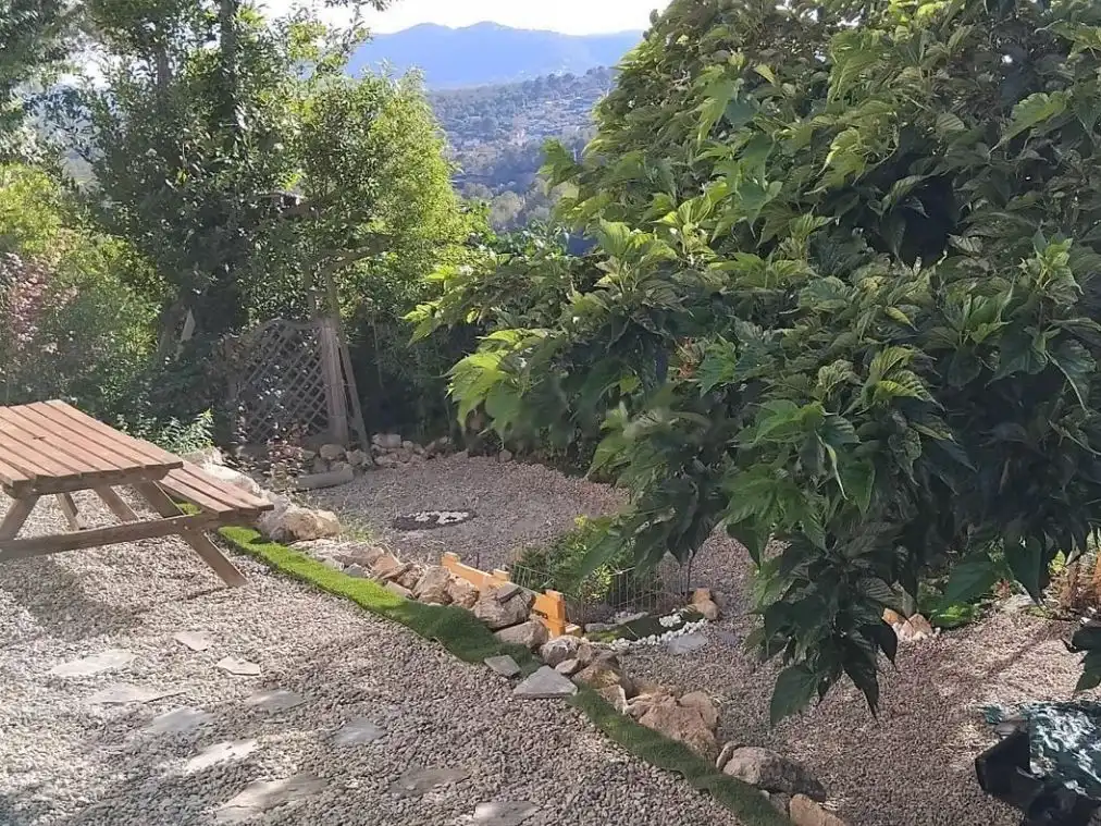 Stanza in affitto, Olivella