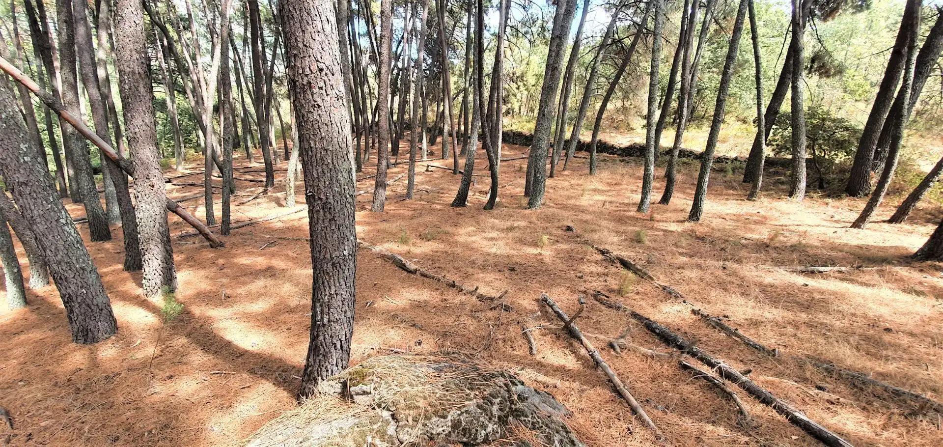 Pis de 57 m² a Lleida