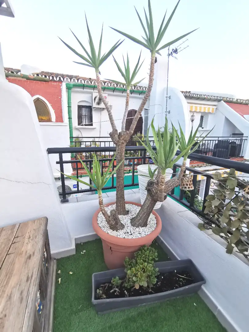 Wohnung 98 m² in Torremolinos