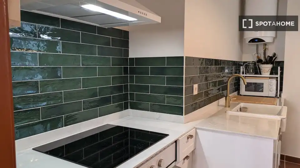 Habitación 86 m², Bilbao