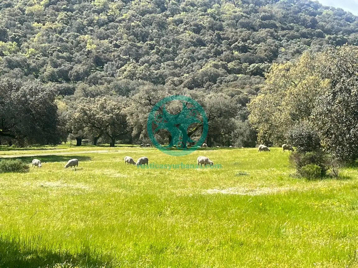 Casa de 200 m² a Cáceres