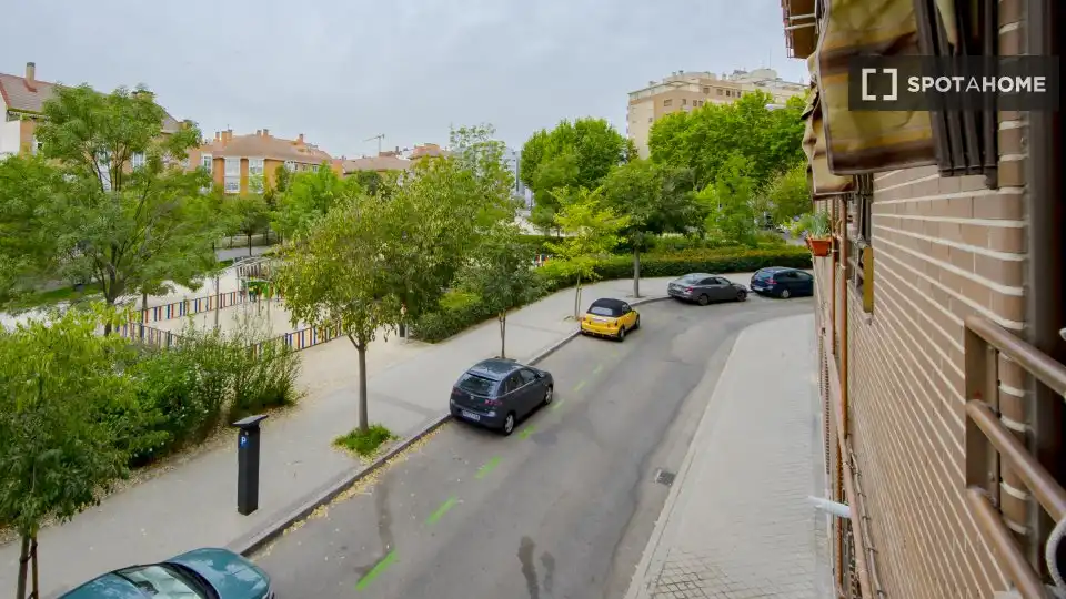 Stanza in affitto, Madrid