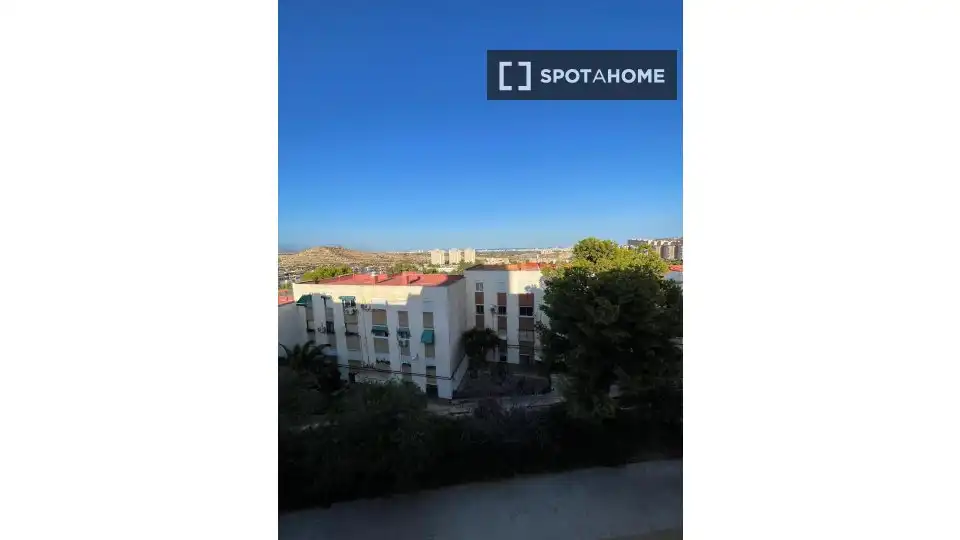 Habitación 75 m², Alicante