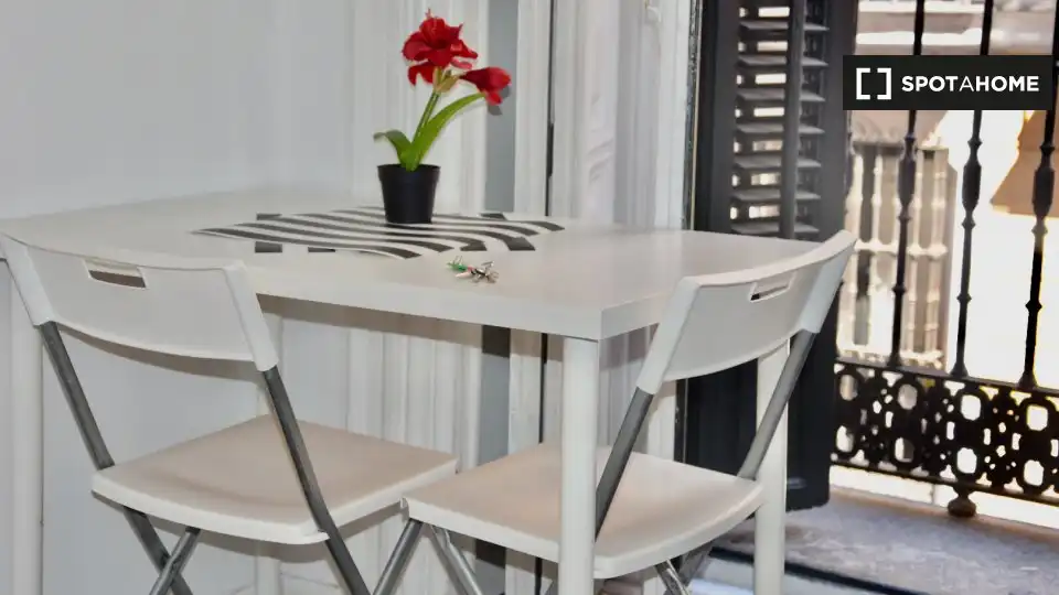 Piso de 19 m² en Madrid