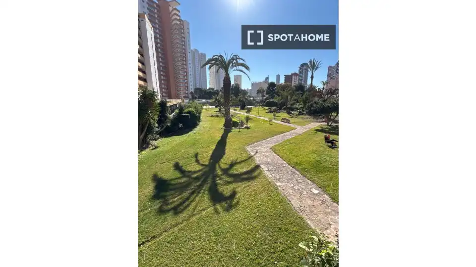 Habitación 69 m², Benidorm