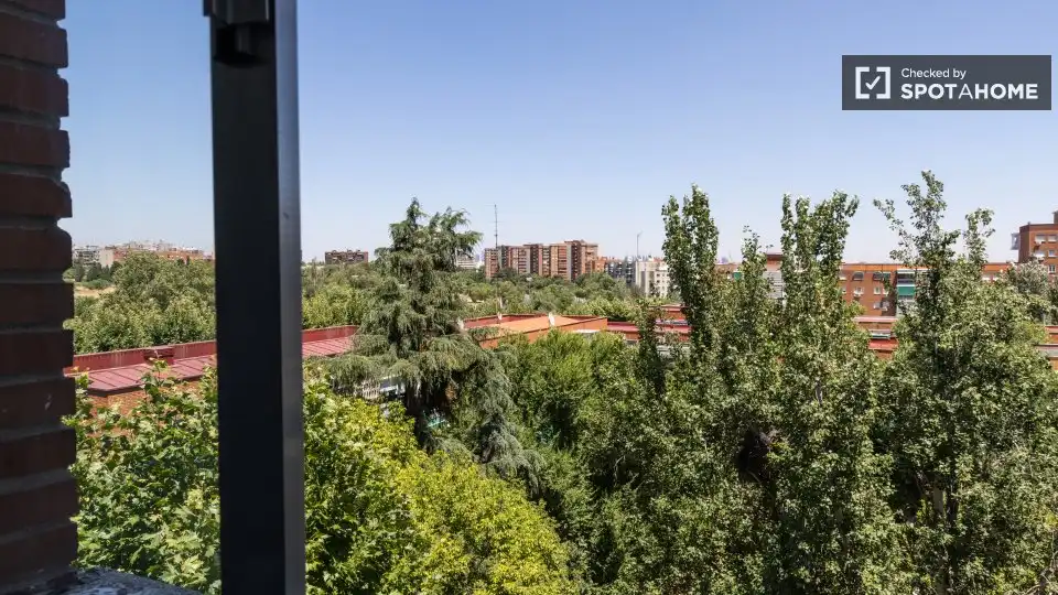 Habitació de lloguer, Madrid