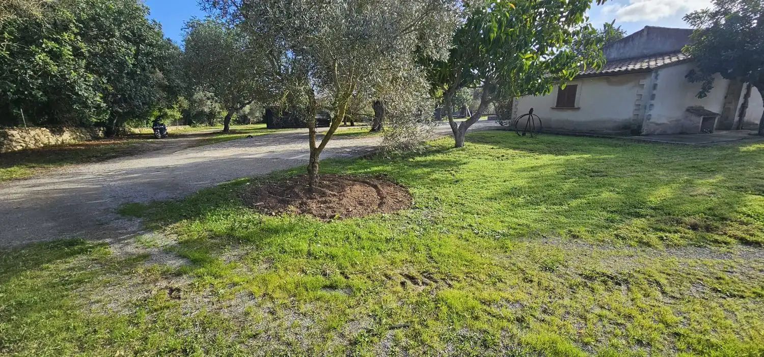 Casa de 175 m² a Manacor
