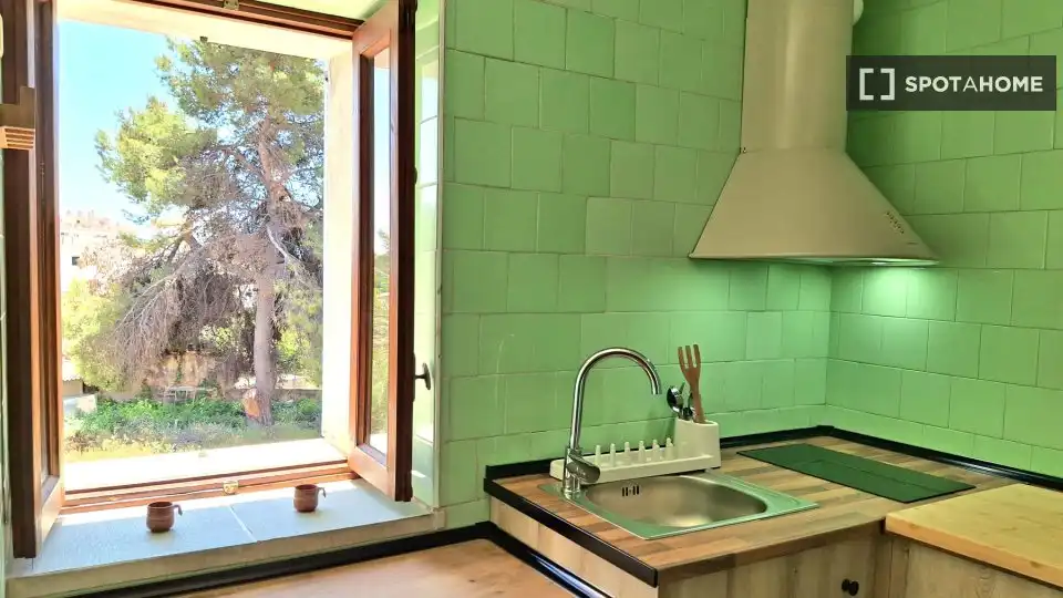 Habitació de lloguer, Palma