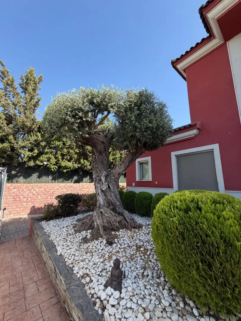 Piso de 600 m² en Elche