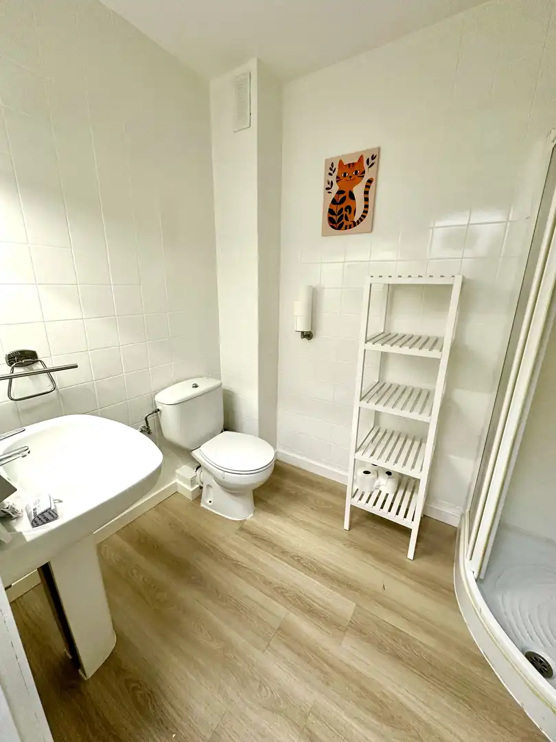 Chambre à louer, Madrid