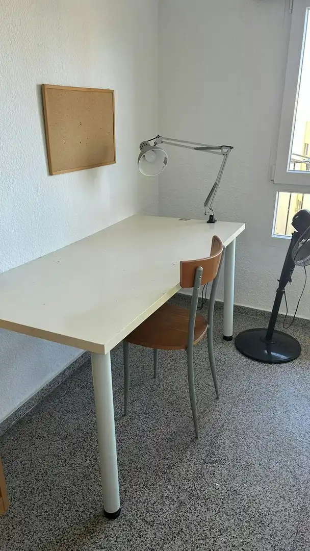 Stanza in affitto, Valencia