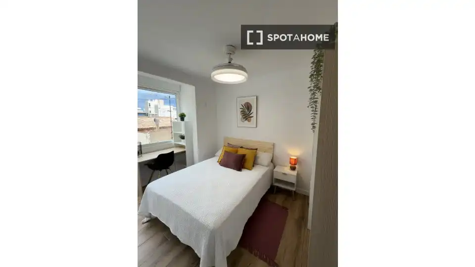Habitació de lloguer, Alacant