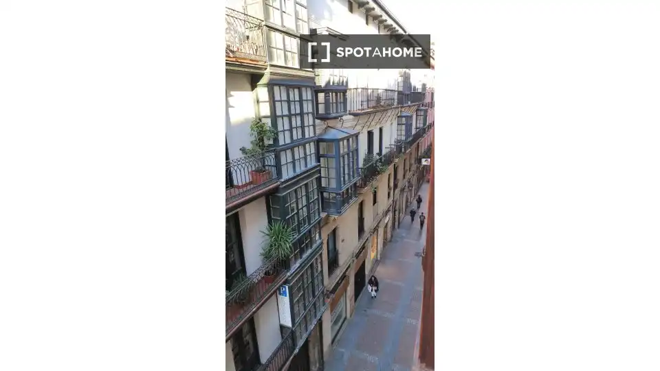 Habitación en alquiler, Bilbao