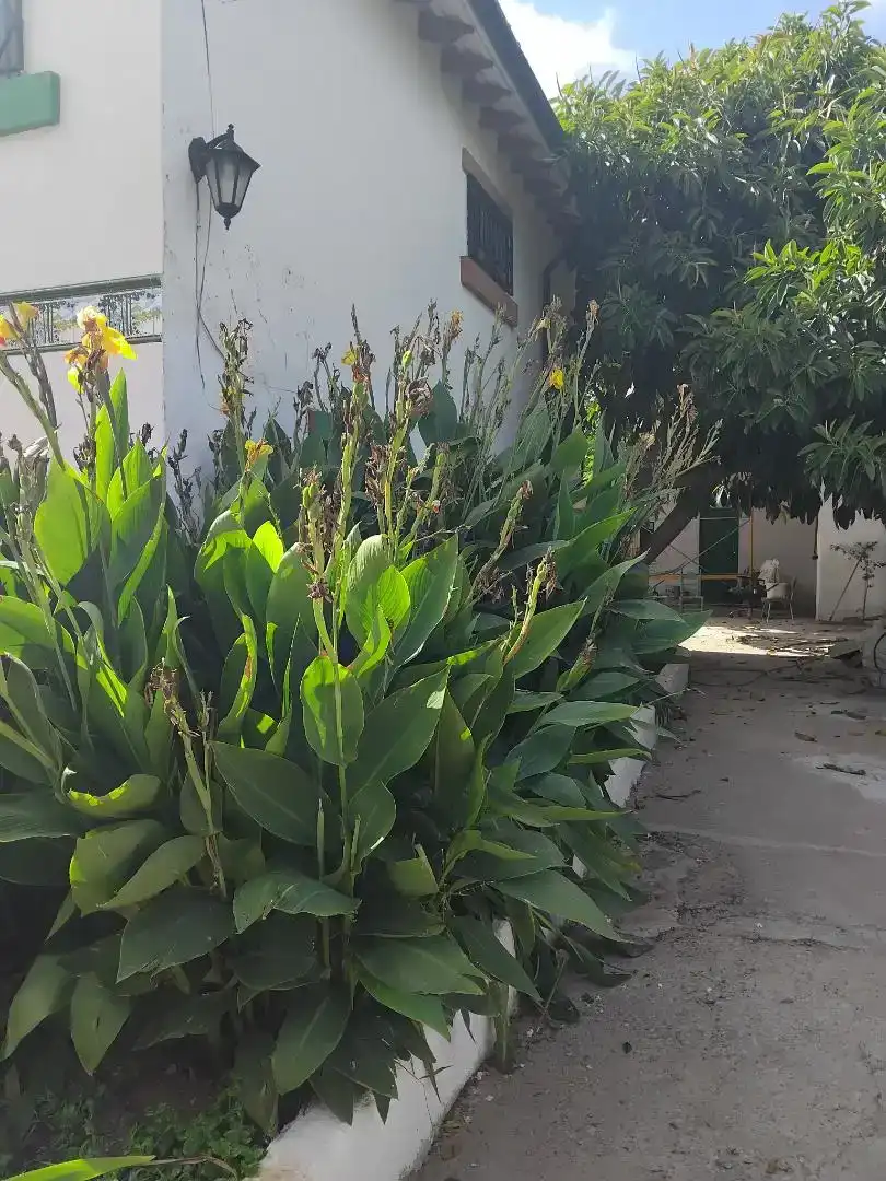 Piso de 200 m² en Castellón de la Plana