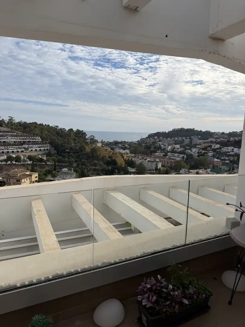 Stanza in affitto, Málaga