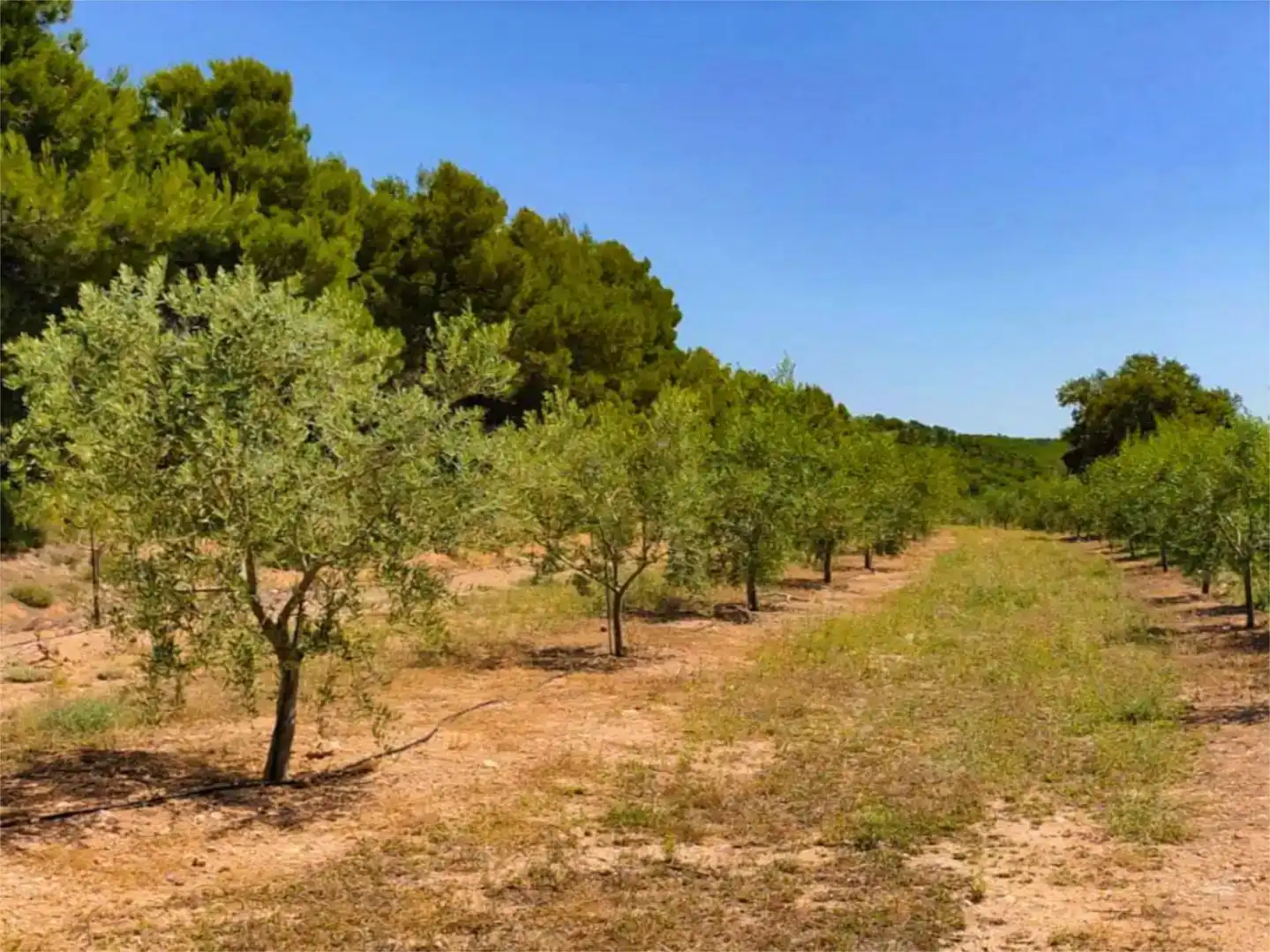 Piso de 560 m² en Alcoy