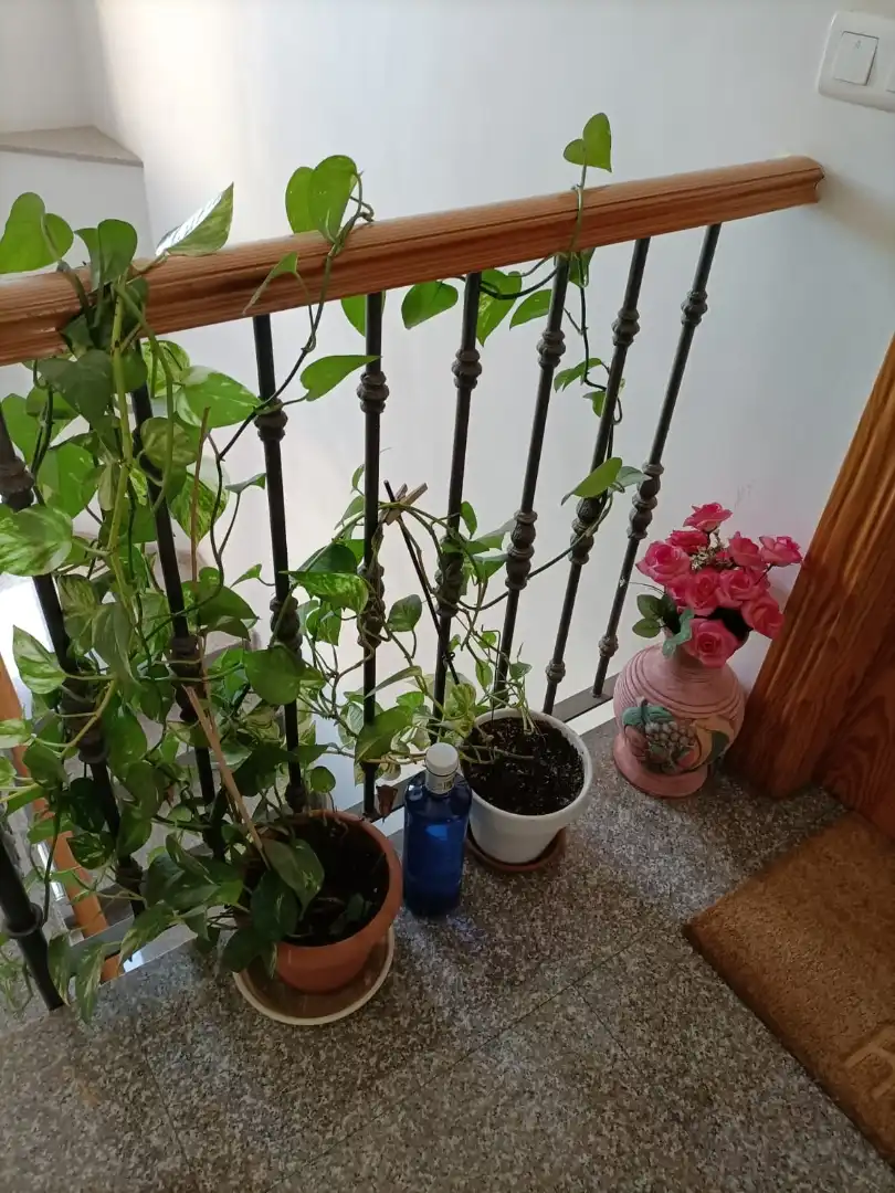 Piso de 48 m² en Mijas