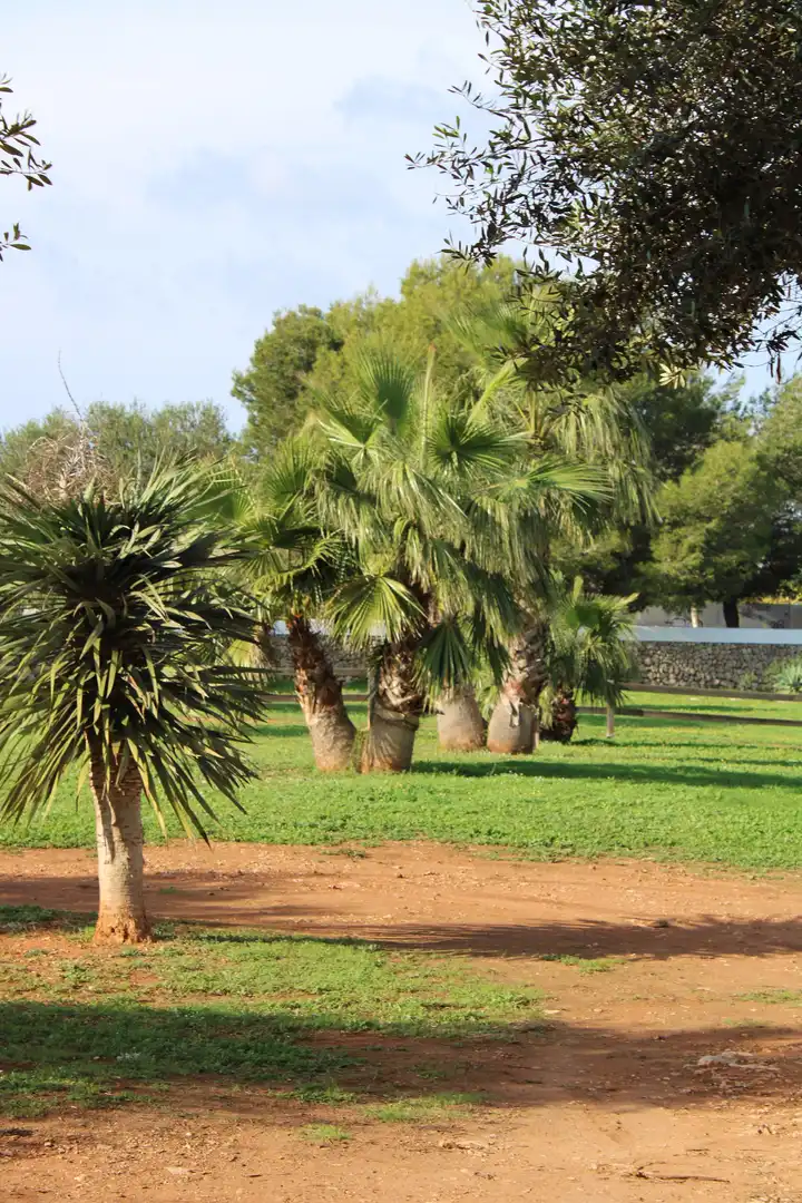 Casa de 90 m² en Ciutadella