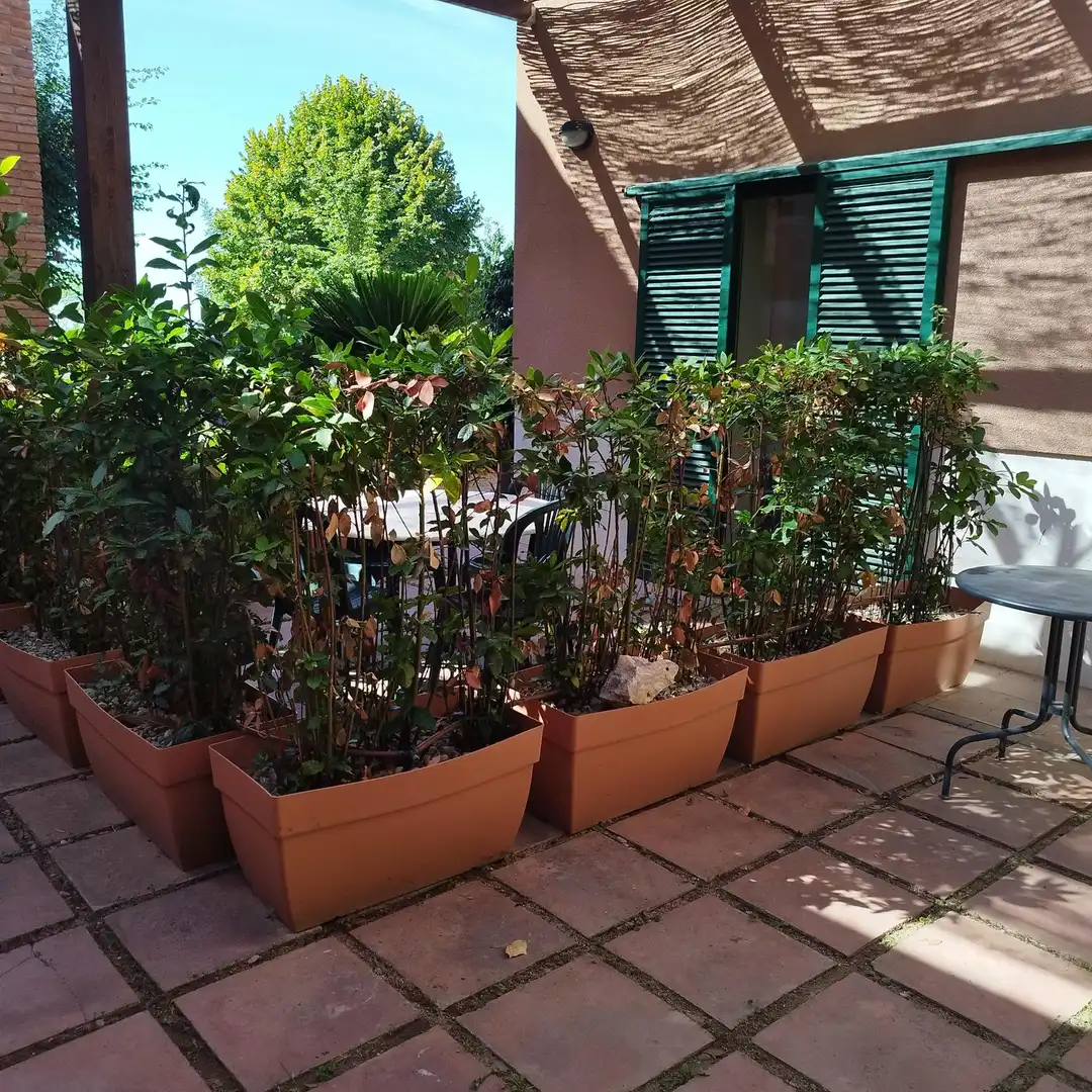 Piso de 75 m² en Tiana