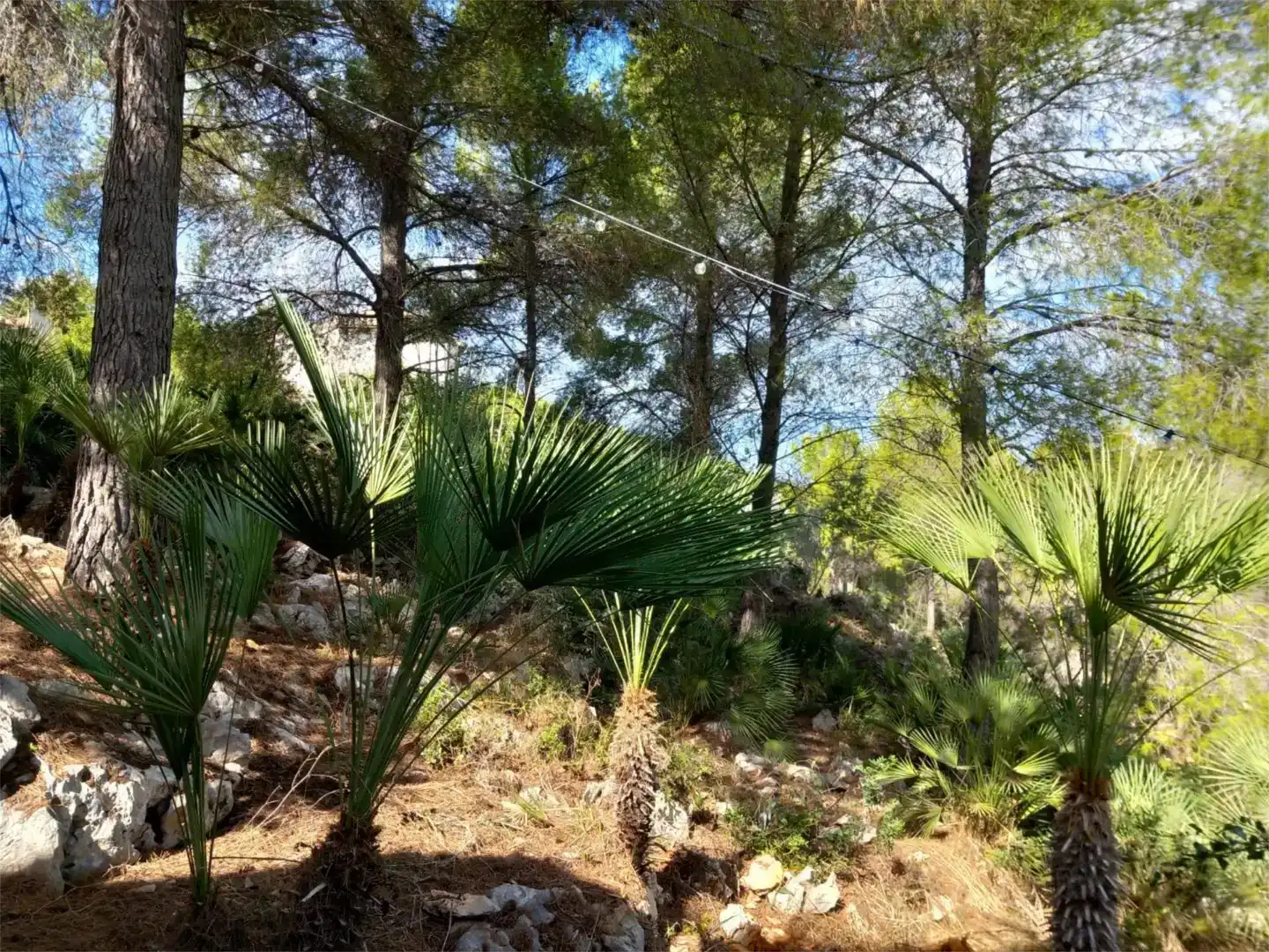 Piso de 164 m² en Pedreguer