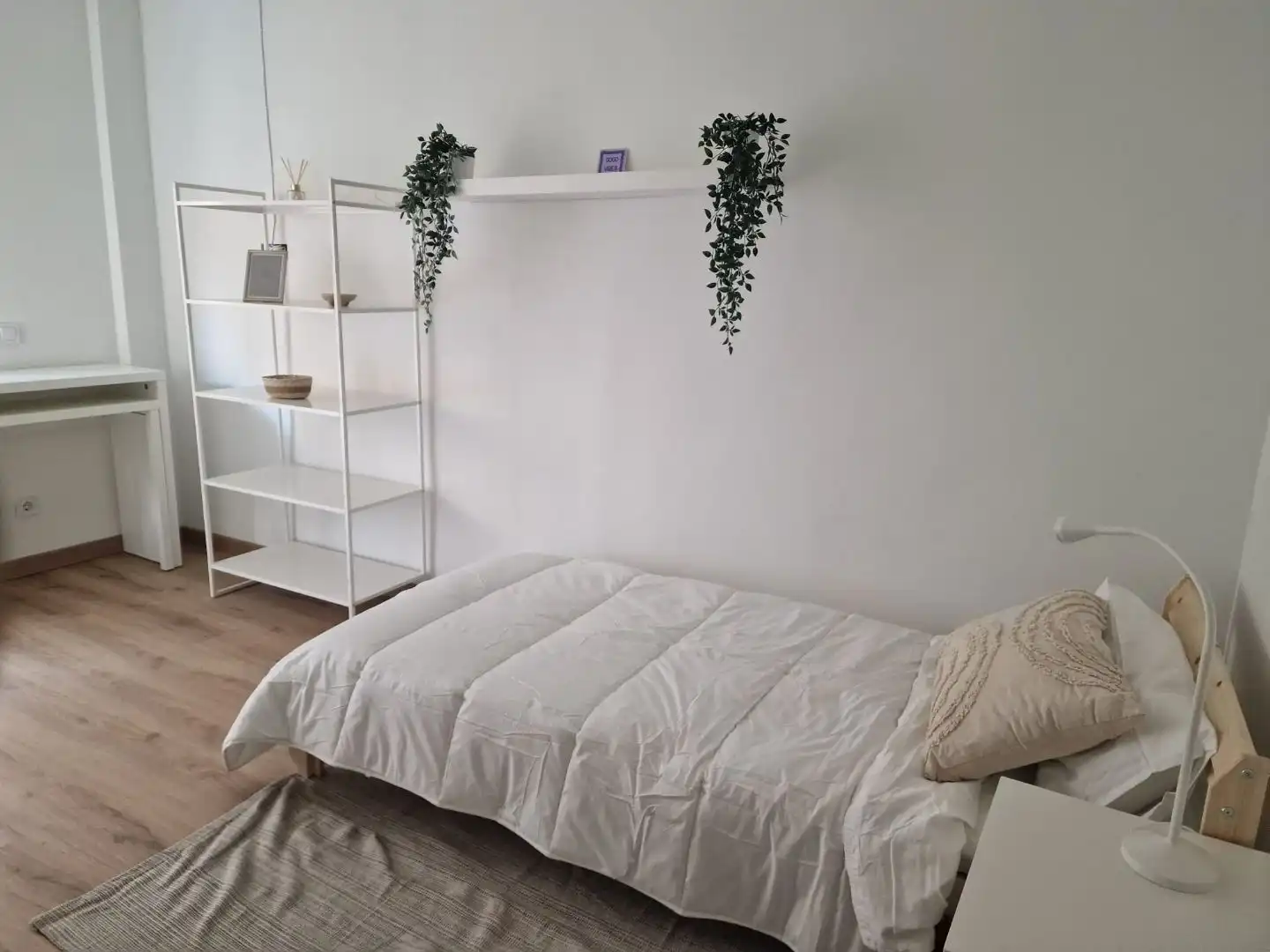 Habitació de lloguer, Puertollano
