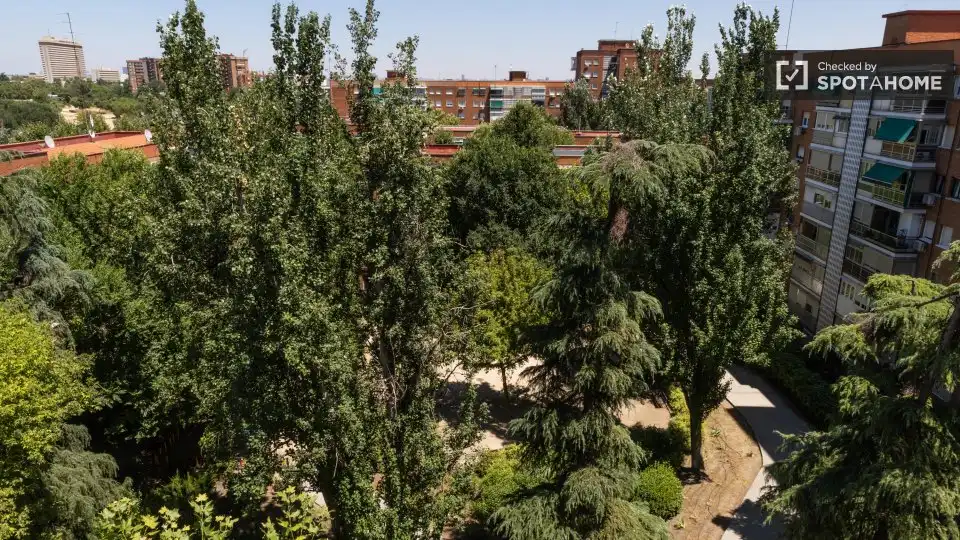 Habitació de lloguer, Madrid