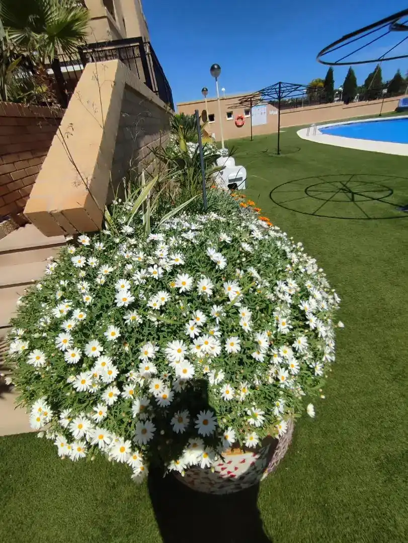Piso de 60 m² en Oropesa del Mar