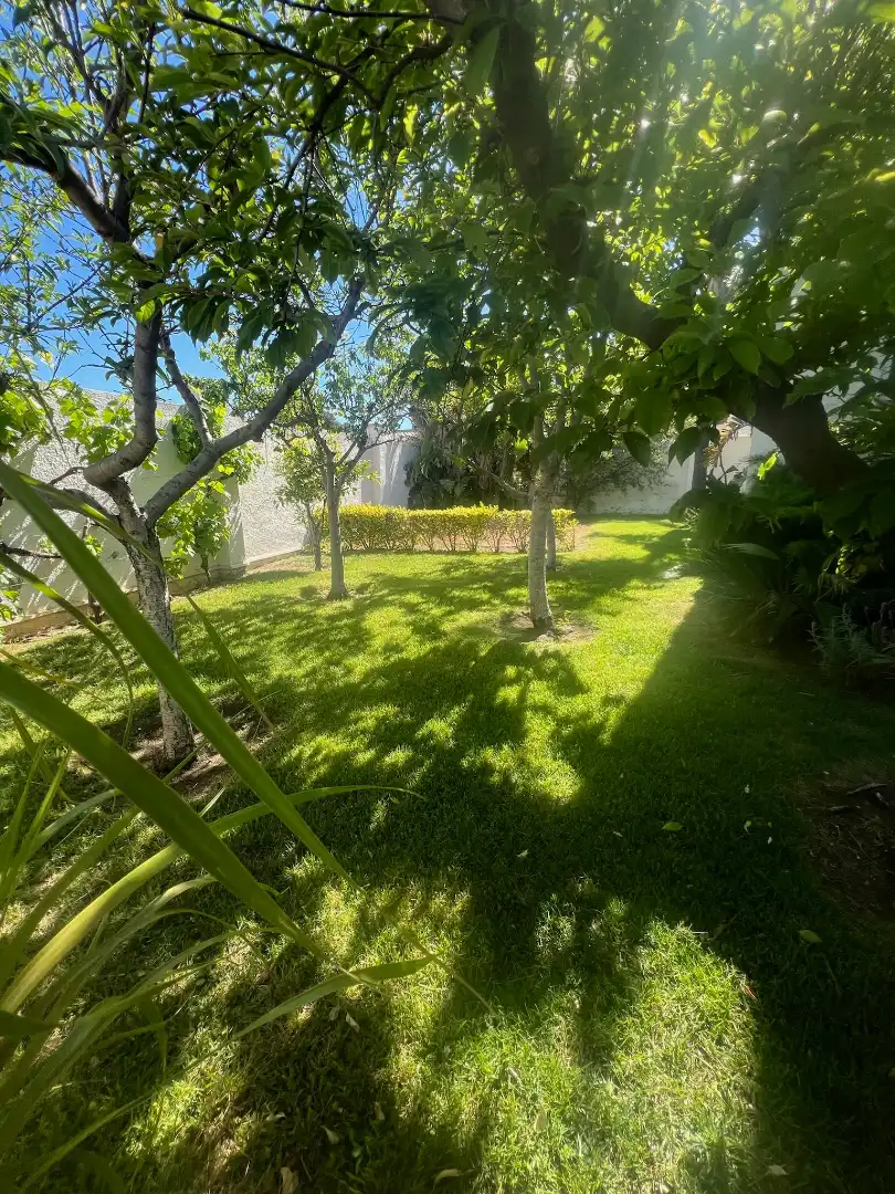 Piso de 309 m² en Mont-roig del Camp