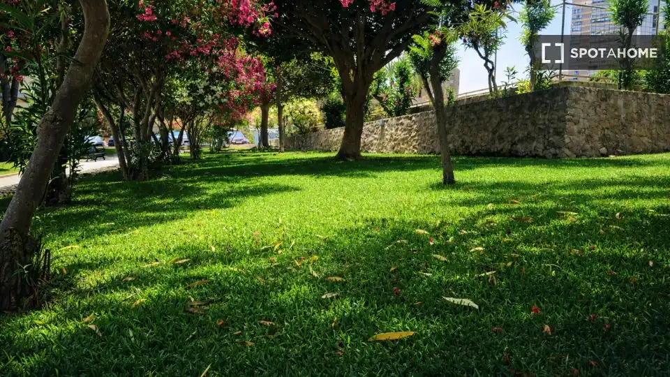 Habitación 52 m², Alicante