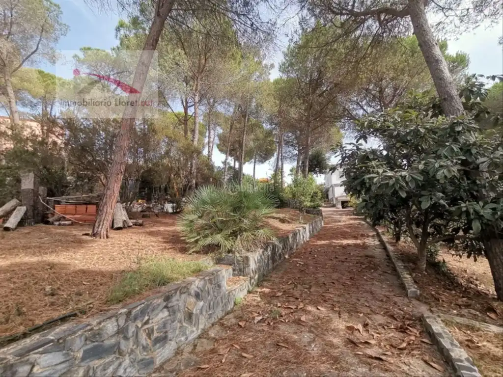 Piso de 350 m² en Lloret de Mar