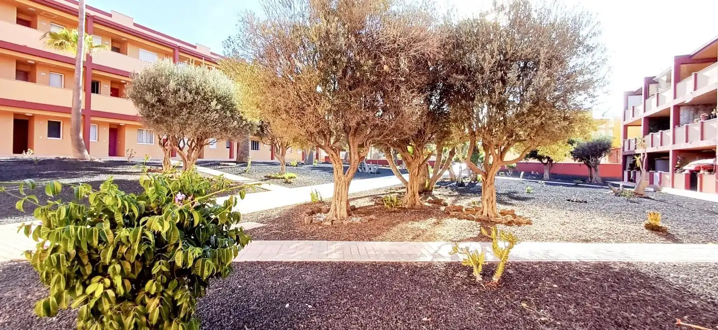 Piso de 71 m² en La Oliva
